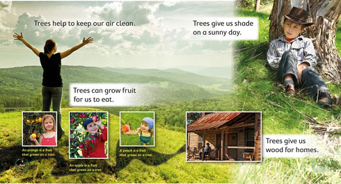 Literacy Tower - Level 11 - Non-Fiction - Save Trees Plant Trees - Single 9781776500567