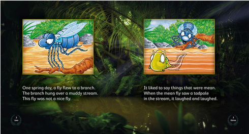 Literacy Tower - Level 12 - Fiction - The Fly And The Tadpole - Single 9781776500581
