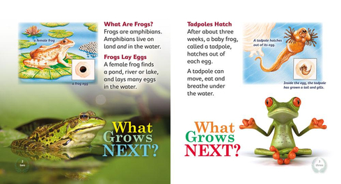 Literacy Tower - Level 12 - Non-Fiction - What Grows Next? - Single 9781776500604