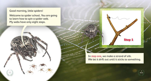 Literacy Tower - Level 14 - Non-Fiction - Spider School: Spin A Web - Pack of 6 2770000031943