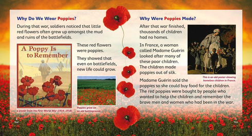 Literacy Tower - Level 15 - Non-Fiction - Anzac Day - Single 9781776500758