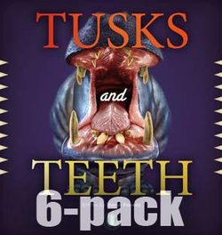 Literacy Tower - Level 17 - Non-Fiction - Tusks And Teeth - Pack of 6 2770000032100