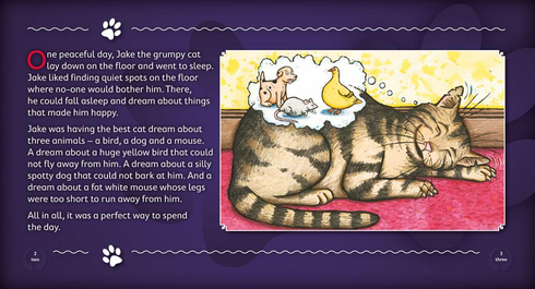 Literacy Tower - Level 20 - Fiction - Jake Hates The Cat Box - Pack of 6 2770000032216