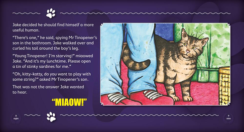 Literacy Tower - Level 20 - Fiction - Jake The Grumpy Cat - Pack of 6 2770000032223