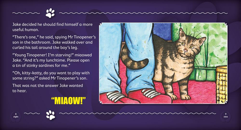 Literacy Tower - Level 20 - Fiction - Jake The Grumpy Cat - Single 9781776500987
