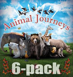 Literacy Tower - Level 28 - Non-Fiction - Animal Journeys - Pack of 6 2770000032643