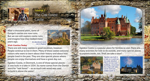 Literacy Tower - Level 29 - Non-Fiction - Cool Castles - Single 9781776501502