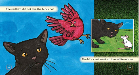 Literacy Tower - Level 3 - Fiction - The Black Cat - Single 9781776500154