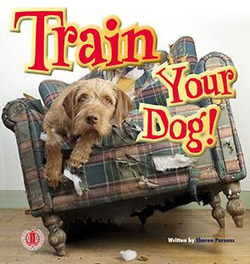Literacy Tower - Level 4 - Non-Fiction - Train Your Dog - Single 9781776500215