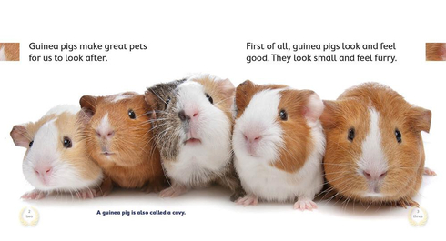 Literacy Tower - Level 6 - Non-Fiction - Guinea Pigs Make Great Pets - Pack of 6 2770000031547
