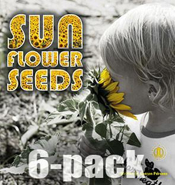 Literacy Tower - Level 7 - Non-Fiction - Sunflower Seeds - Pack of 6 2770000031608