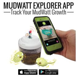 Mudwatt - Classic Kit 793573893192