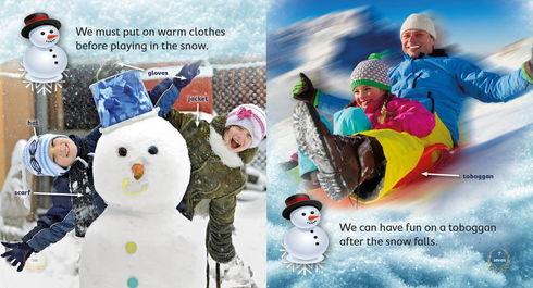 Literacy Tower - Level 8 - Non-Fiction - Snow - Pack of 6 2770000031653