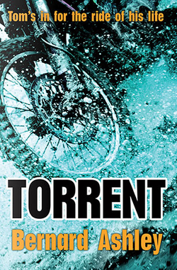 Torrent 9781781124543