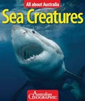All About Australia Sea Creatures 9781742451183