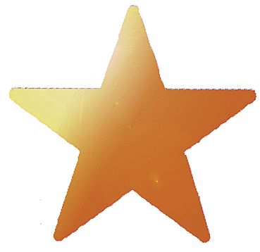 Bronze Star Foil Stickers 9317331000878