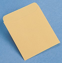 Browne Book Pockets - Pack of 100 2770000838108
