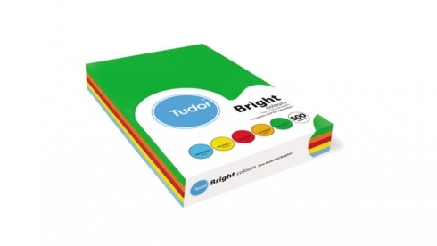 80gsm Tudor Bright Copy Paper in Assorted Colours (Ream of 500 Sheets) 9311995034569
