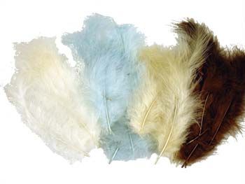 Feathers Natural Coloured Approx 50 Feathers 9314812119883