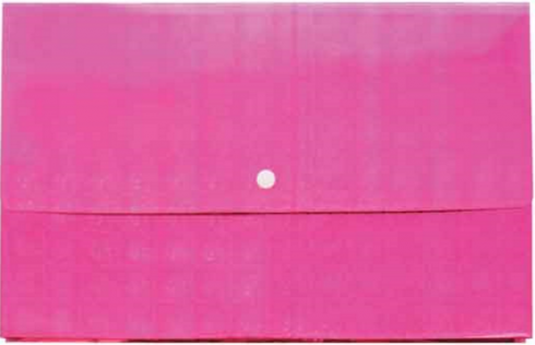 Document Wallet - Pink Sparkle 610696042194