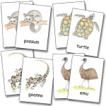 Honey Ant Readers Animal Cards 2770000796255
