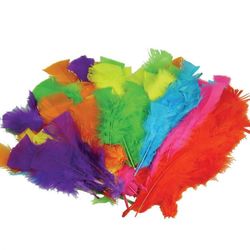 Feathers Pk 50 Small Asst Cols (Pack of 50, Assorted Colours, Small) 9314812102670