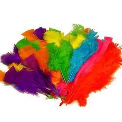 Feathers 30g Large Asst Cols 9314812106227