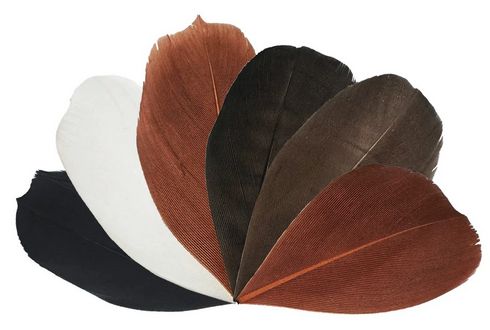 Zart Trimmed Feathers Natural 20g 9331866030407