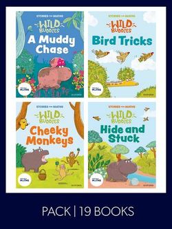 Stories-for-Maths-Foundation-Mixed-Pack