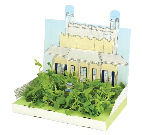 The Miniature Gardens - Set of 24 Growing Kits MG0125