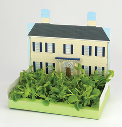 The Miniature Gardens - Set of 24 Growing Kits MG0125