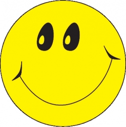 Smiley Yellow Fluoro Stickers 2770000790574