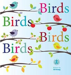 Literacy Tower - Level 10 - Non-Fiction - Birds Birds Birds Birds - Single 9781776500505