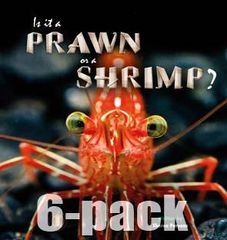 Literacy Tower - Level 15 - Non-Fiction - Is It A Prawn Or A Shrimp? - Pack of 6 2770000032001