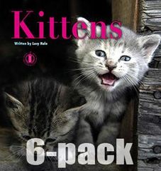 Literacy Tower - Level 2 - Non-Fiction - Kittens - Pack of 6 2770000031349
