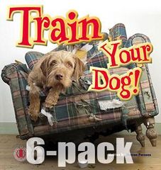 Literacy Tower - Level 4 - Non-Fiction - Train Your Dog - Pack of 6 2770000031455