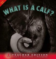 Literacy Tower - Level 5 - Non-Fiction - What Is A Calf? - Teacher Edition 9781776501960