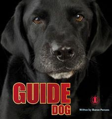 Literacy Tower - Level 5 - Non-Fiction - Guide Dog - Single 9781776500260