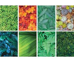 PATTERN PAPERS A4 40S FOLIAGE