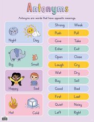 Opposite Attractions (Antonyms) - Educational Chart