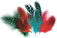 Guinea Fowl Feathers 10g Pack 9331866008215