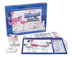 Beat The Flamingo Equivalence Bingo!  9314289034016