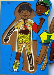 4 Layer Body Puzzle - Aboriginal Boy 200mm x 30mm  (Clothed Body, Unclothed Body, Internal Organs &amp; Major Blood Vessels, Skeleton) 2770000043885