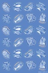  Wonderlands: Sea - Coconut Scented Merit Stickers (Pack of 72)